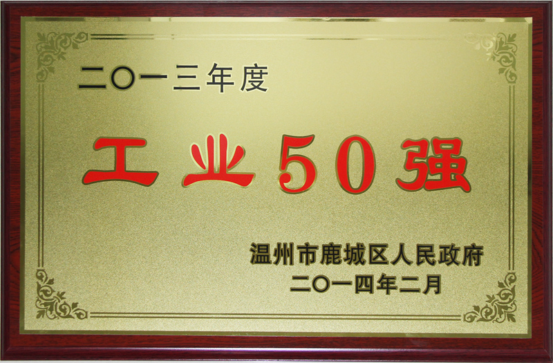 2014年 鹿城區(qū)工業(yè)50強(qiáng)
